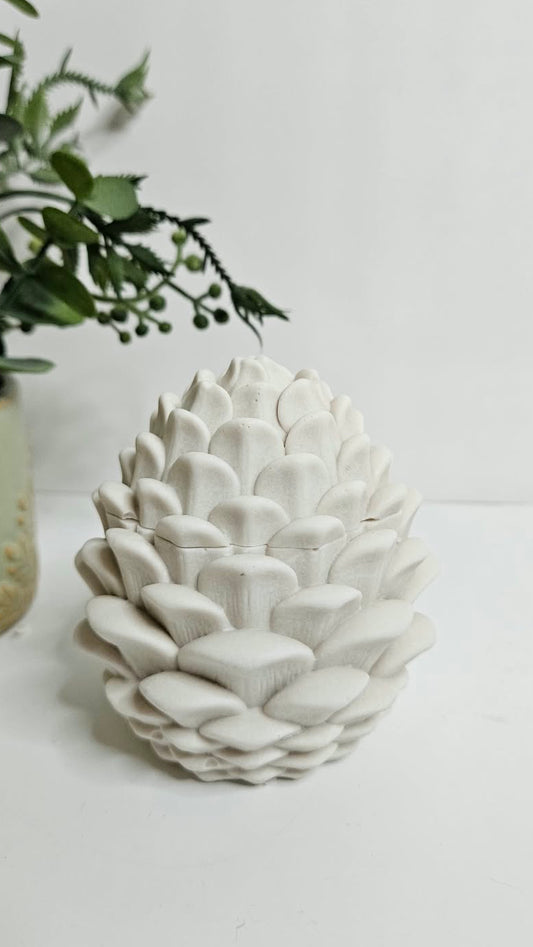 Pine Cones