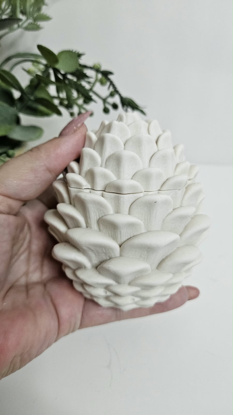Pine Cones