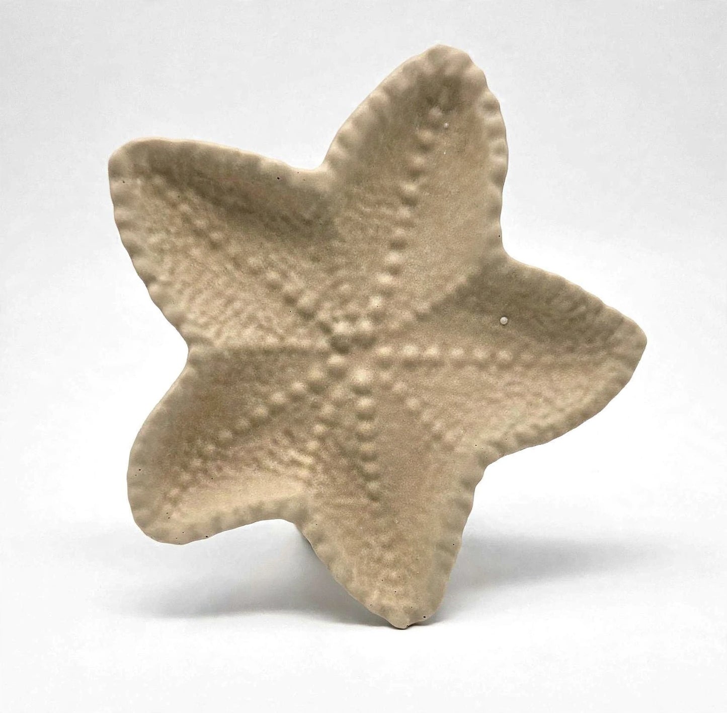 Sea Star Tray