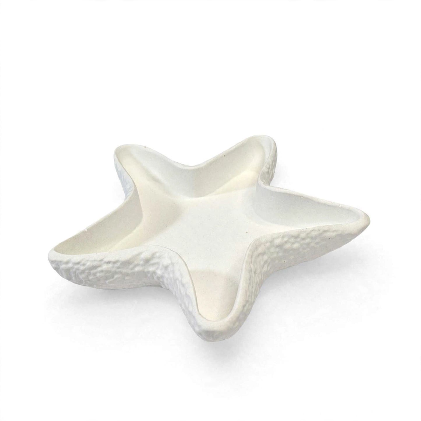 Star Fish Trinket Tray