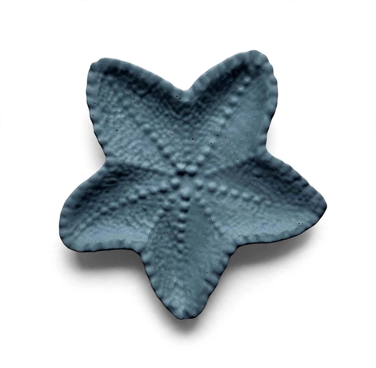 Sea Star Tray
