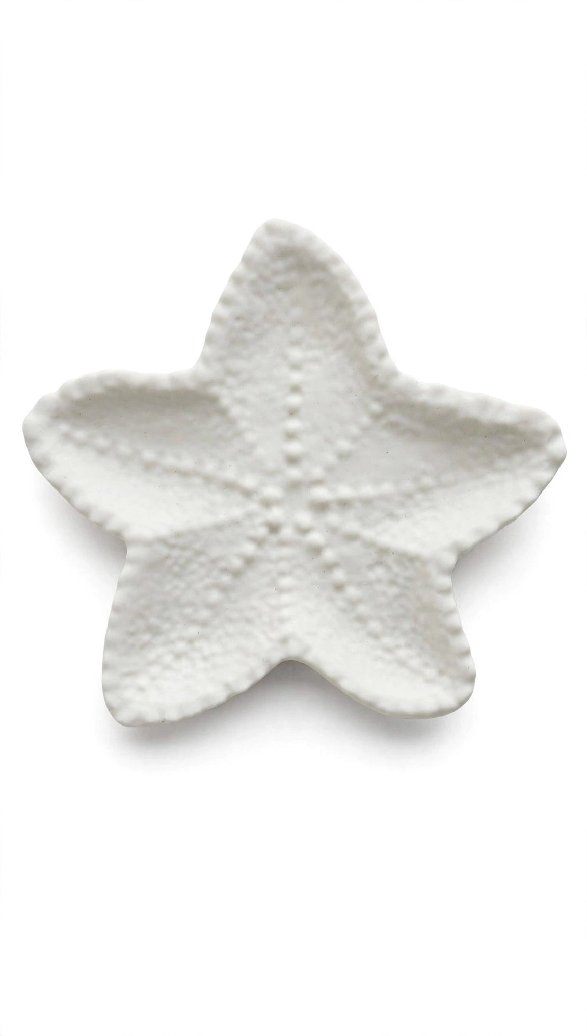 Sea Star Tray