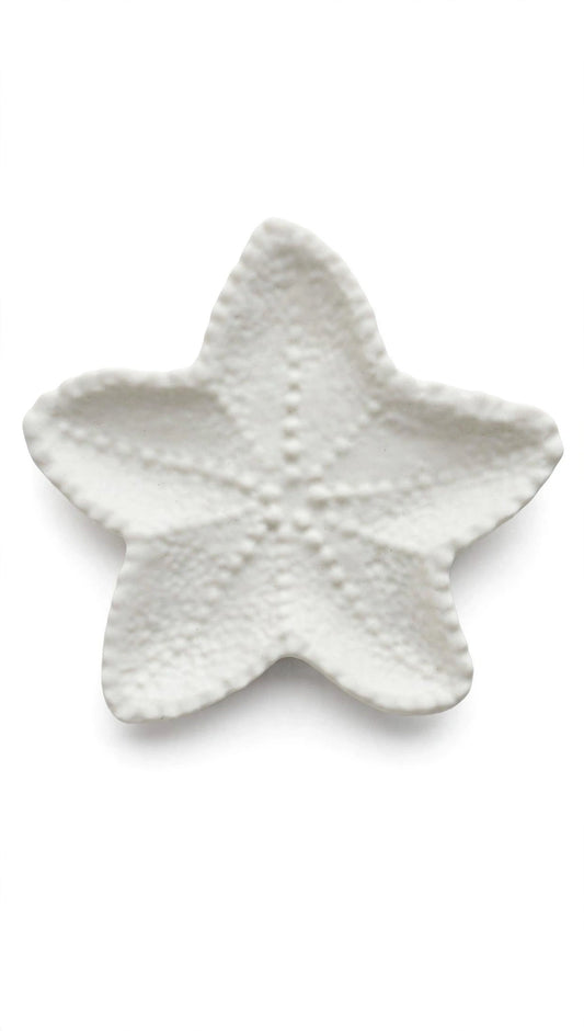 Sea Star Tray